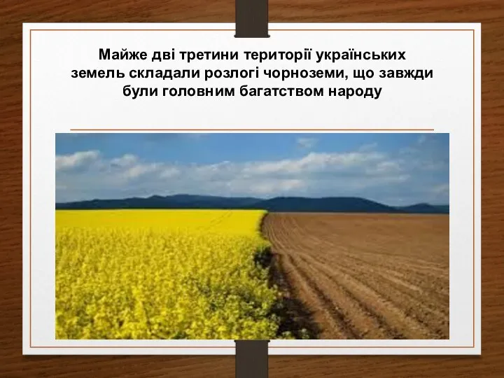Майже дві третини території українських земель складали розлогі чорноземи, що завжди були головним багатством народу