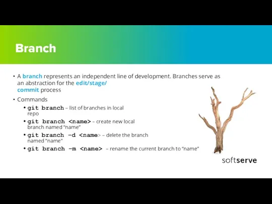 Branch A branch represents an independent line of development. Branches serve as