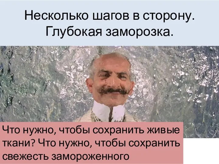 Несколько шагов в сторону. Глубокая заморозка. Что нужно, чтобы сохранить живые ткани?