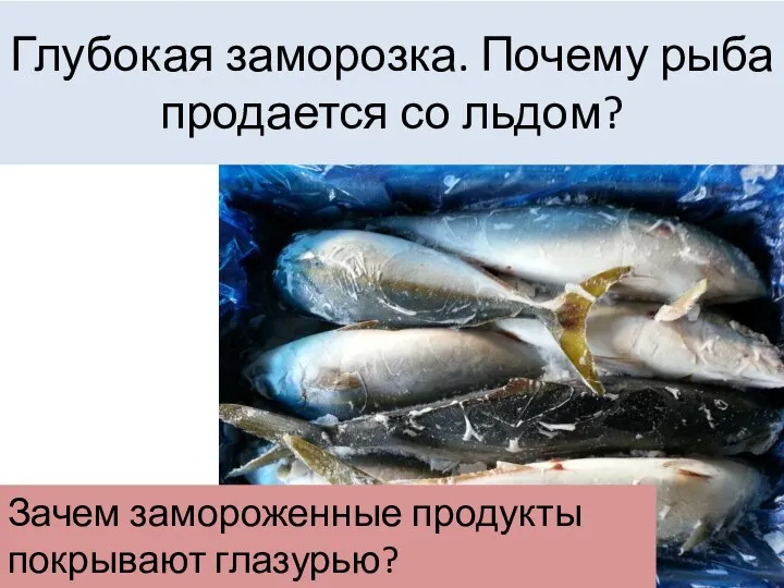 Глубокая заморозка. Почему рыба продается со льдом? Зачем замороженные продукты покрывают глазурью?