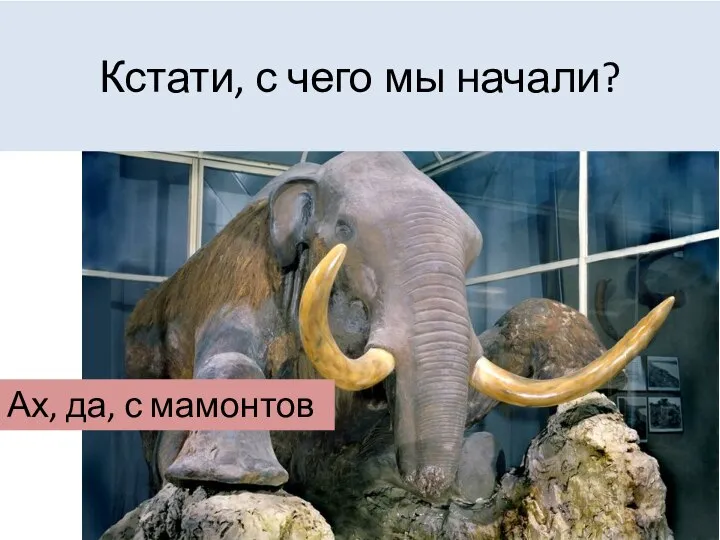 Кстати, с чего мы начали? Ах, да, с мамонтов