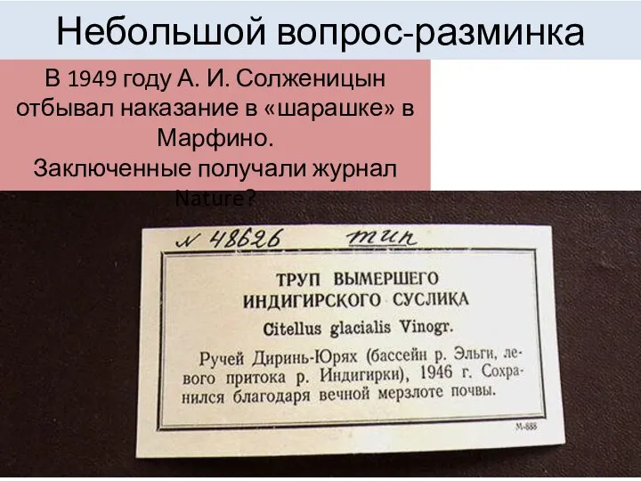 Небольшой вопрос-разминка В 1949 году А. И. Солженицын отбывал наказание в «шарашке»