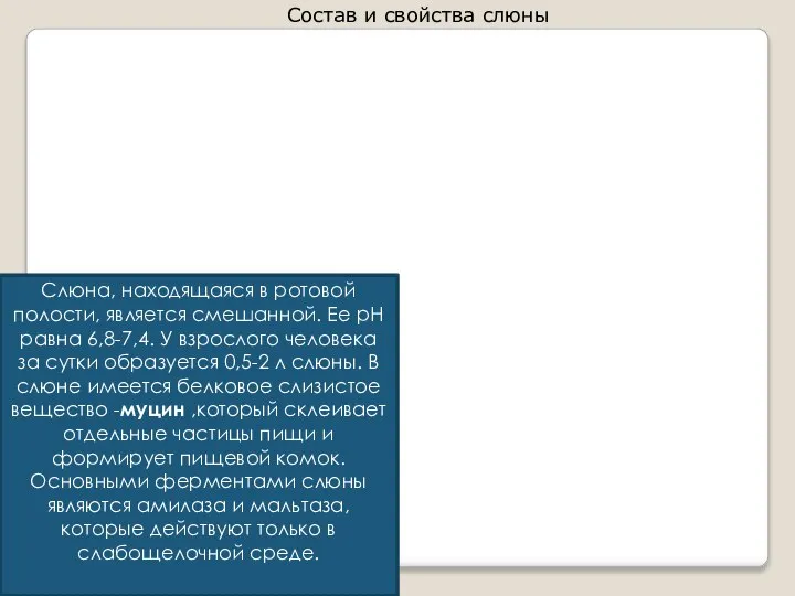 Состав и свойства слюны Слюна, находящаяся в ротовой полости, является смешанной. Ее