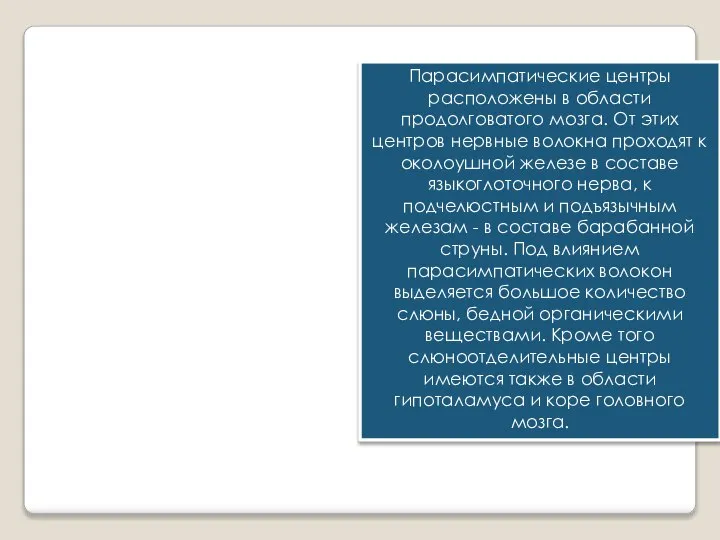 Парасимпатические центры расположены в области продолговатого мозга. От этих центров нервные волокна