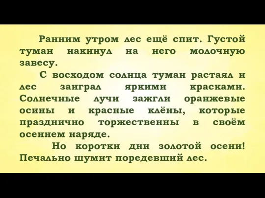 Ранним утром лес ещё спит. Густой туман накинул на него молочную завесу.