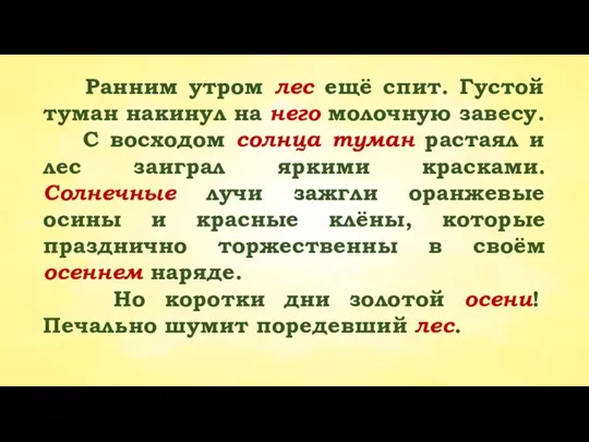 Ранним утром лес ещё спит. Густой туман накинул на него молочную завесу.