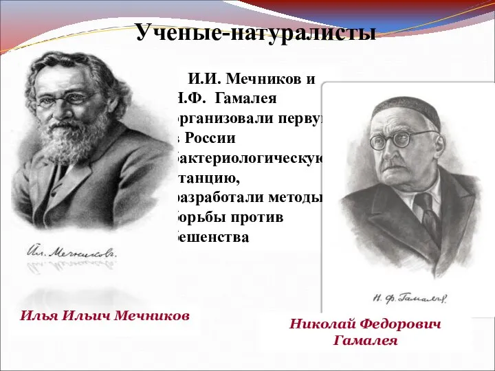 Ученые-натуралисты Илья Ильич Мечников И.И. Мечников и Н.Ф. Гамалея организовали первую в