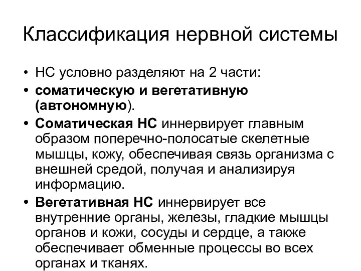 Классификация нервной системы НС условно разделяют на 2 части: соматическую и вегетативную