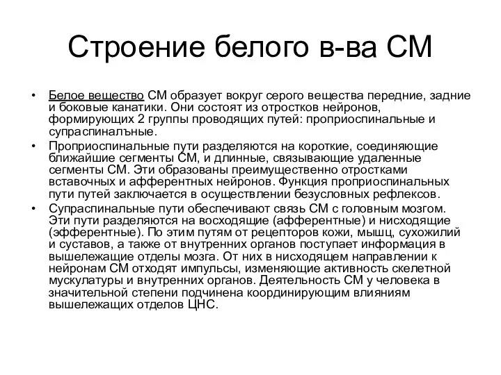 Строение белого в-ва СМ Белое вещество СМ образует вокруг серого вещества передние,