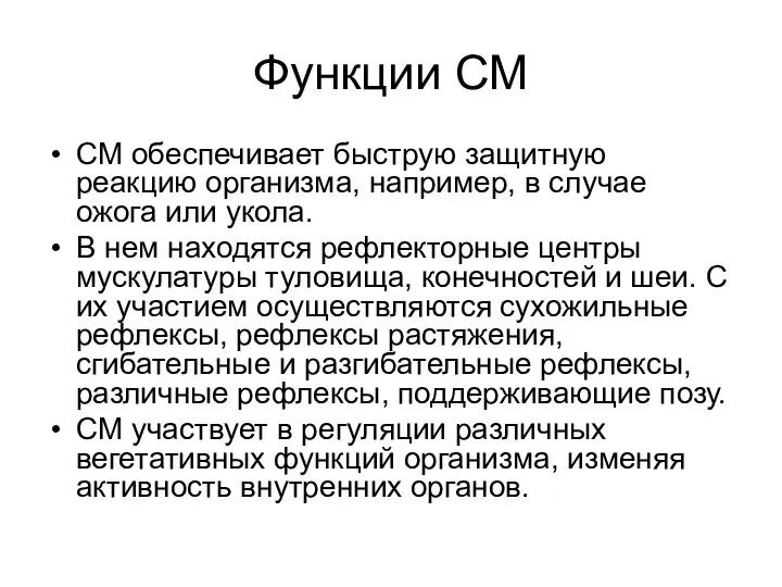 Функции СМ СМ обеспечивает быструю защитную реакцию организма, например, в случае ожога