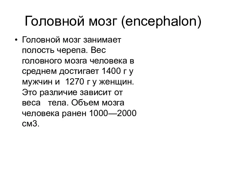 Головной мозг (encephalon) Головной мозг занимает полость черепа. Вес головного мозга человека