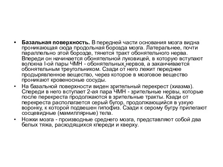 Базальная поверхность. В передней части основания мозга видна проникающая сюда продольная борозда