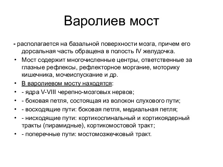 Варолиев мост - располагается на базальной поверхности мозга, причем его дорсальная часть