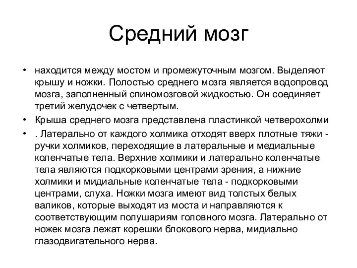 Средний мозг находится между мостом и промежуточным мозгом. Выделяют крышу и ножки.