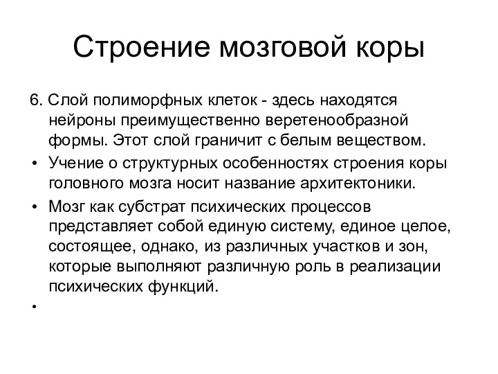 Строение мозговой коры 6. Слой полиморфных клеток - здесь находятся нейроны преимущественно