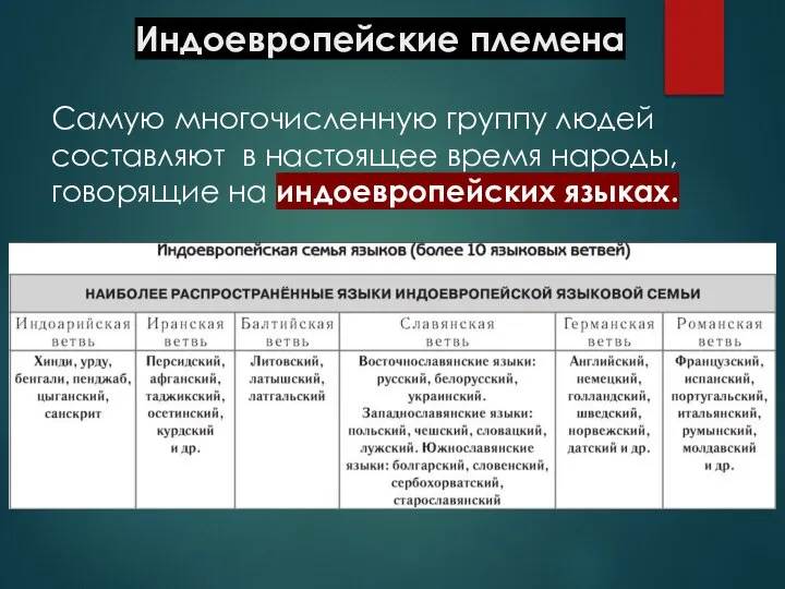 Индоевропейские племена Самую многочисленную группу людей составляют в настоящее время народы, говорящие на индоевропейских языках.