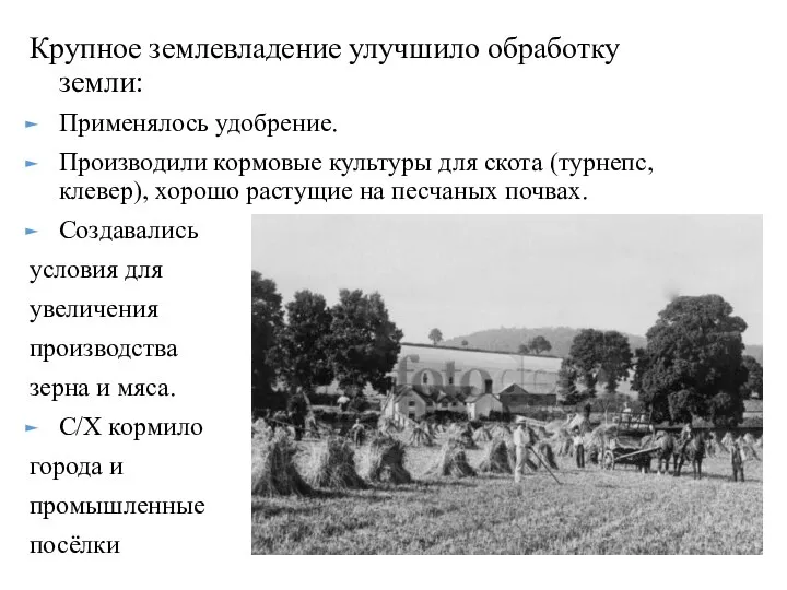 Крупное землевладение улучшило обработку земли: Применялось удобрение. Производили кормовые культуры для скота