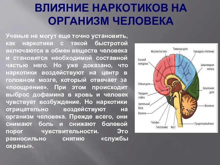 Ученые не могут еще точно установить, как наркотики с такой быстротой включаются