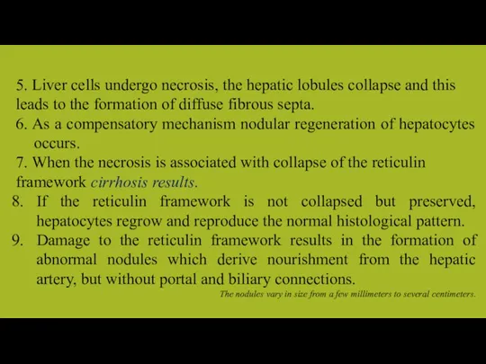5. Liver cells undergo necrosis, the hepatic lobules collapse and this leads