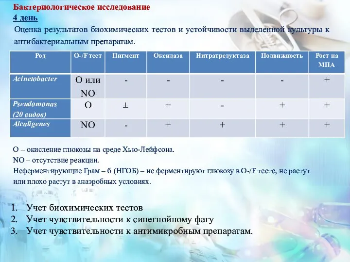 Бактериологическое исследование 4 день Оценка результатов биохимических тестов и устойчивости выделенной культуры