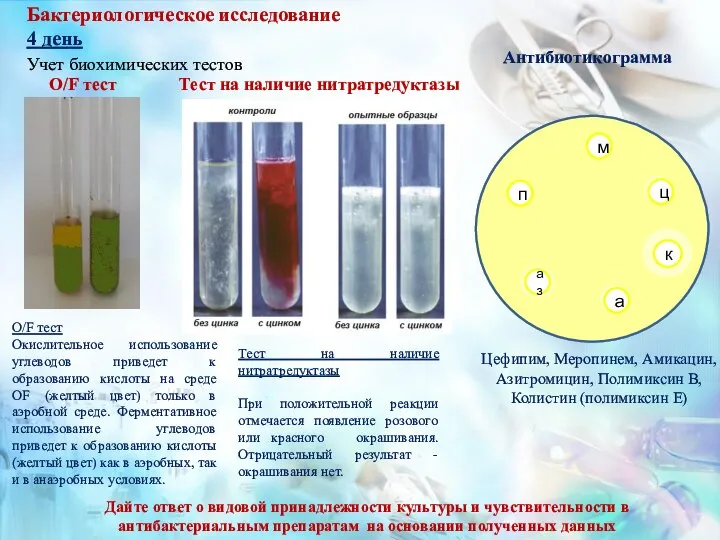 Бактериологическое исследование 4 день Антибиотикограмма Цефипим, Меропинем, Амикацин, Азитромицин, Полимиксин B, Колистин