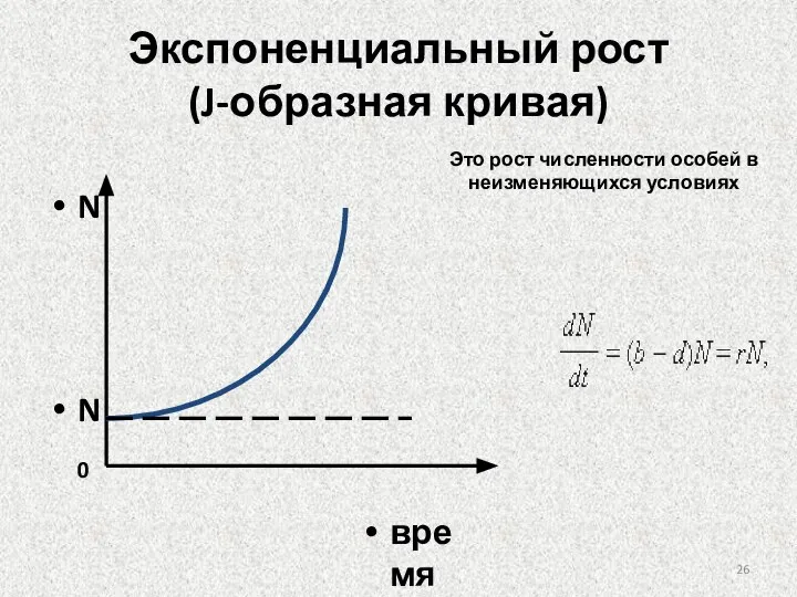 Экспоненциальный рост (J-образная кривая) Это рост численности особей в неизменяющихся условиях