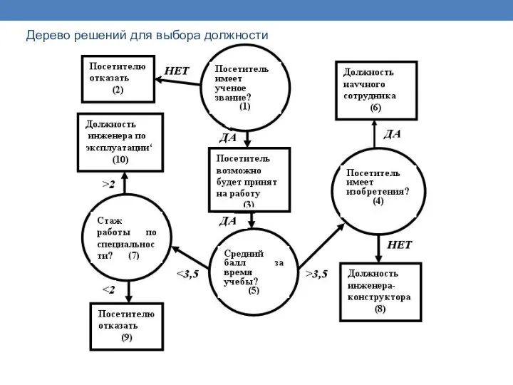 Дерево решений для выбора должности