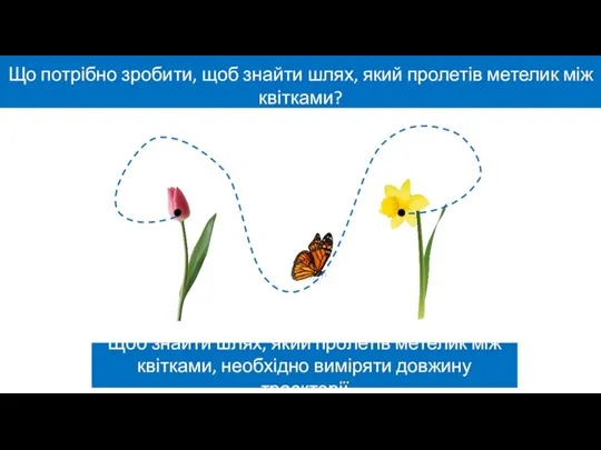 Що потрібно зробити, щоб знайти шлях, який пролетів метелик між квітками? Щоб