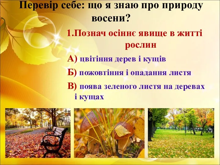 Перевір себе: що я знаю про природу восени? 1.Познач осіннє явище в