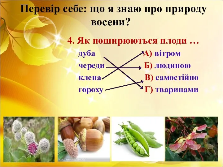 Перевір себе: що я знаю про природу восени? 4. Як поширюються плоди