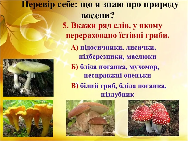 Перевір себе: що я знаю про природу восени? 5. Вкажи ряд слів,