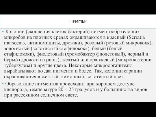 ПРИМЕР Колонии (скопления клеток бактерий) пигментообразующих микробов на плотных средах окрашиваются в