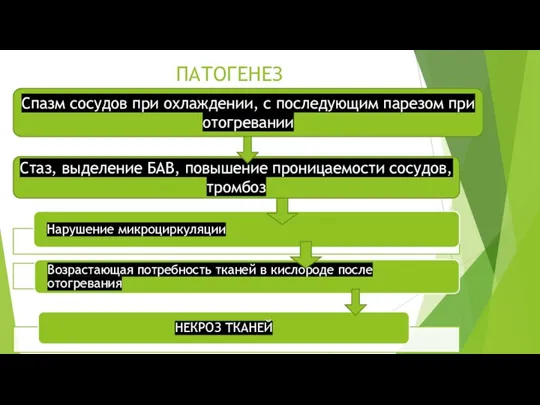 ПАТОГЕНЕЗ Спазм сосудов при охлаждении, с последующим парезом при отогревании Стаз, выделение