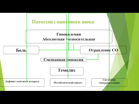 Патогенез ожогового шока