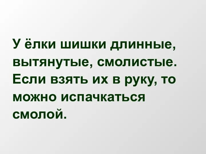 У ёлки шишки длинные, вытянутые, смолистые. Если взять их в руку, то можно испачкаться смолой.