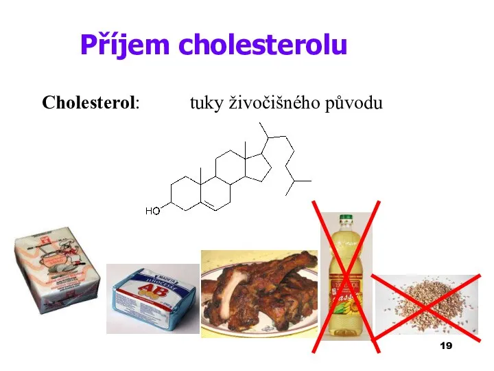 Příjem cholesterolu Cholesterol: tuky živočišného původu