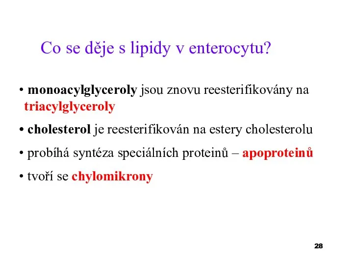 Co se děje s lipidy v enterocytu? monoacylglyceroly jsou znovu reesterifikovány na