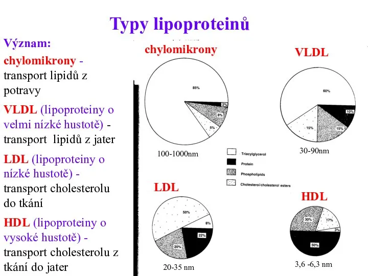 Typy lipoproteinů chylomikrony VLDL LDL HDL 100-1000nm 30-90nm 20-35 nm 3,6 -6,3