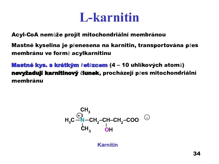 Acyl-CoA nemůže projít mitochondriální membránou Mastné kyselina je přenesena na karnitin, transportována