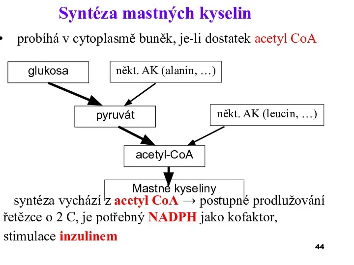 Syntéza mastných kyselin probíhá v cytoplasmě buněk, je-li dostatek acetyl CoA syntéza