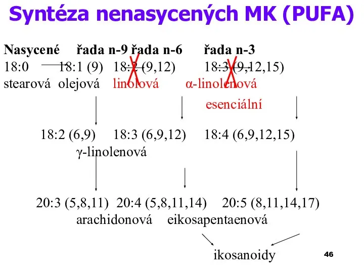 esenciální Syntéza nenasycených MK (PUFA)