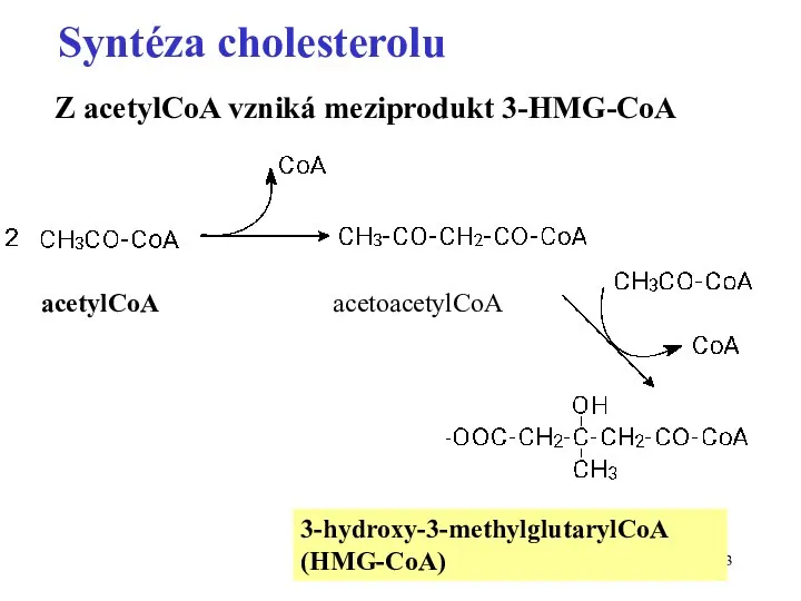 3-hydroxy-3-methylglutarylCoA (HMG-CoA) acetylCoA acetoacetylCoA Z acetylCoA vzniká meziprodukt 3-HMG-CoA Syntéza cholesterolu
