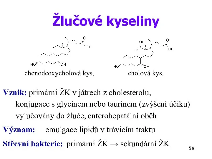 Žlučové kyseliny chenodeoxycholová kys. cholová kys. Vznik: primární ŽK v játrech z