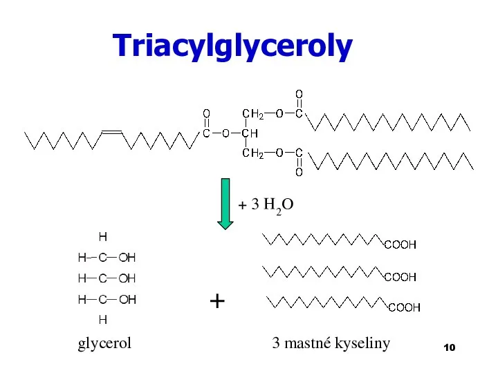Triacylglyceroly + 3 H2O glycerol + 3 mastné kyseliny