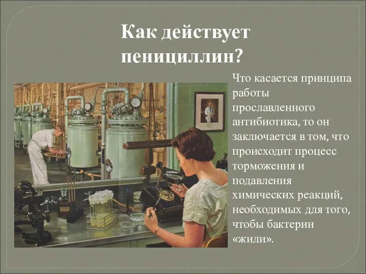 Как действует пенициллин? Что касается принципа работы прославленного антибиотика, то он заключается