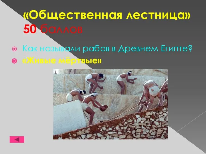 «Общественная лестница» 50 баллов Как называли рабов в Древнем Египте? «Живые мёртвые»