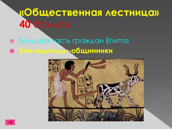 «Общественная лестница» 40 баллов Большая часть граждан Египта Земледельцы-общинники