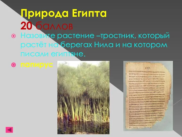 Природа Египта 20 баллов Назовите растение –тростник, который растёт на берегах Нила
