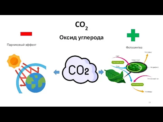 CO2 Оксид углерода Фотосинтез Парниковый эффект