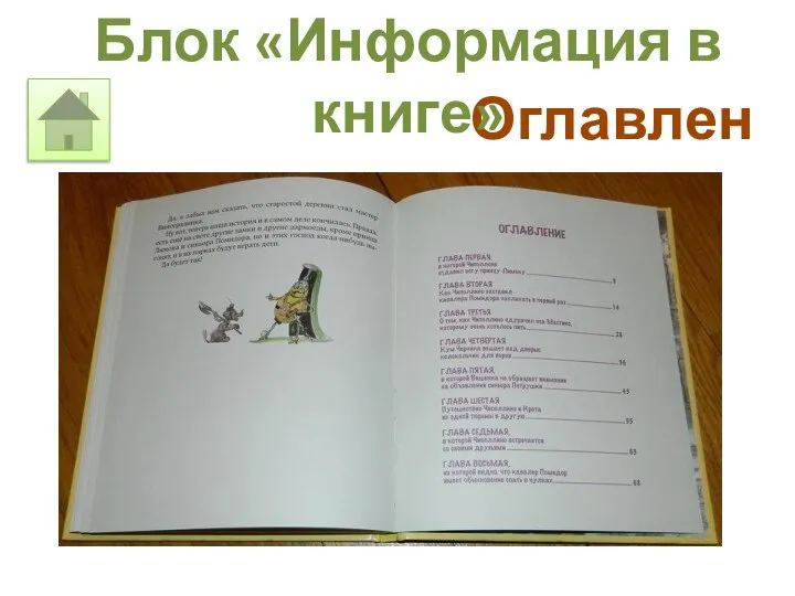 Оглавление Блок «Информация в книге»